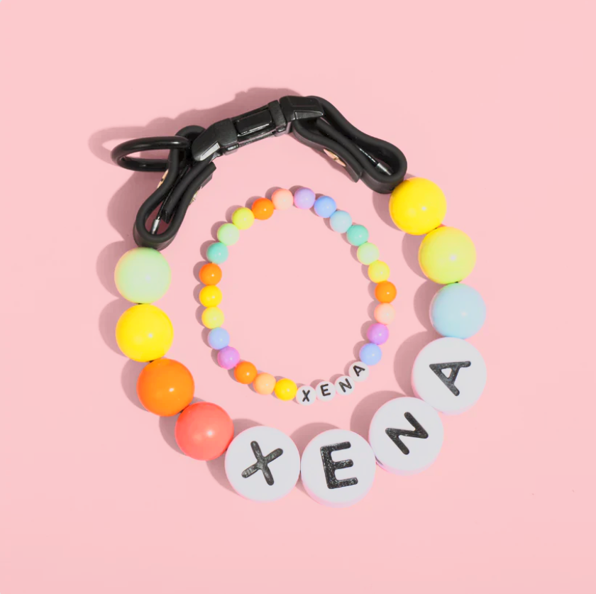 BFF Dog Collar + Free Matching Bracelet!