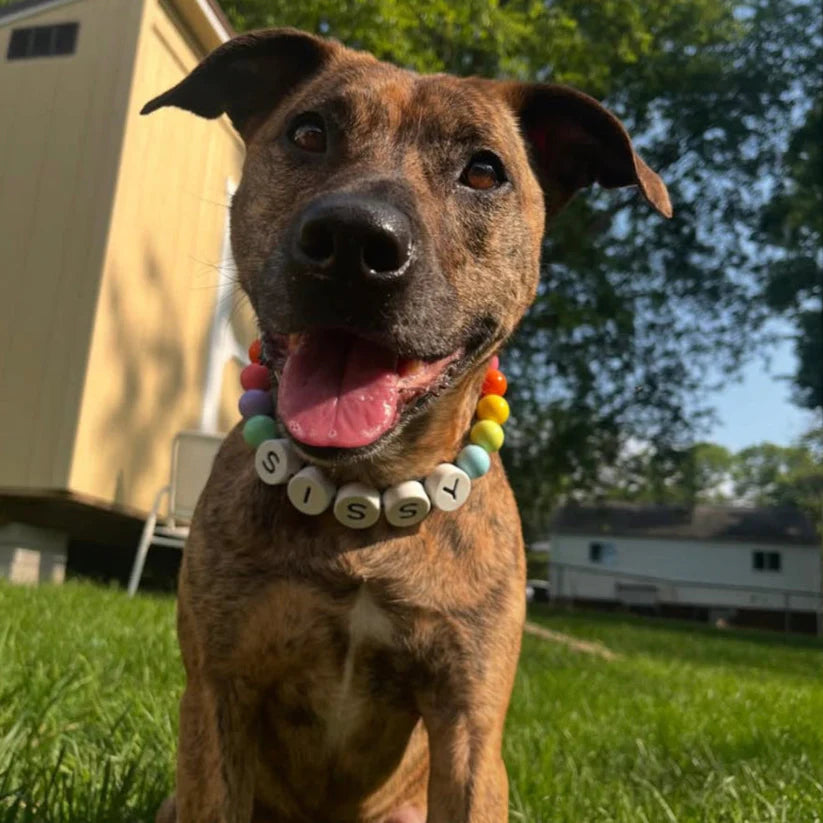 BFF Dog Collar + Free Matching Bracelet!