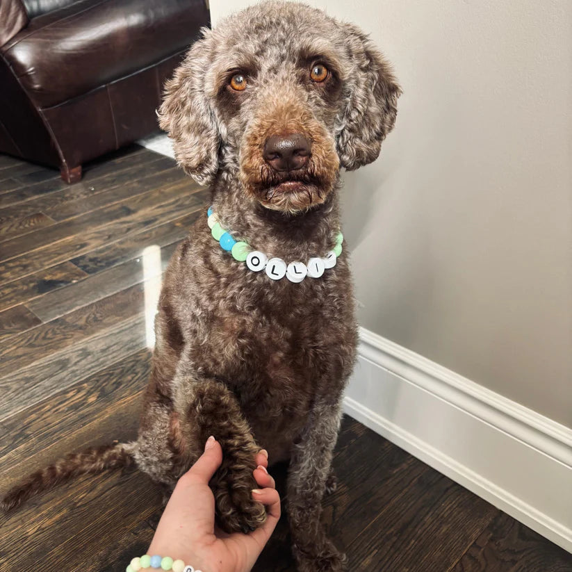 BFF Dog Collar + Free Matching Bracelet!