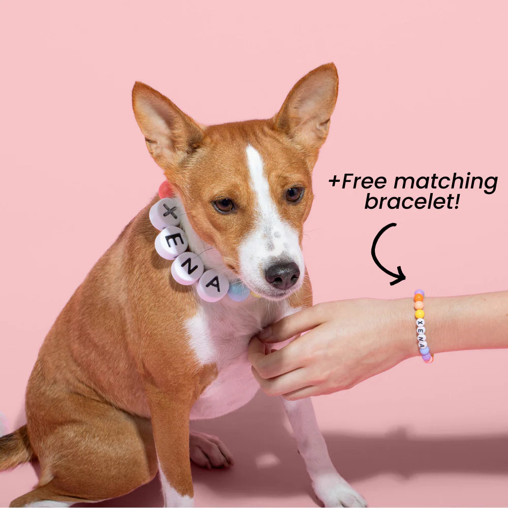 BFF Dog Collar + Free Matching Bracelet!