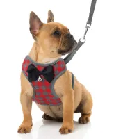 Adjustable Breathable Dog Leash And Vest Collar