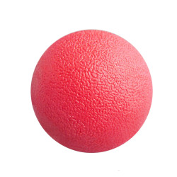 Bouncing Ball Dog Toy