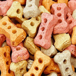 Dog buns biscuits grinding teeth training reward teddy golden retriever pet treats dog biscuits